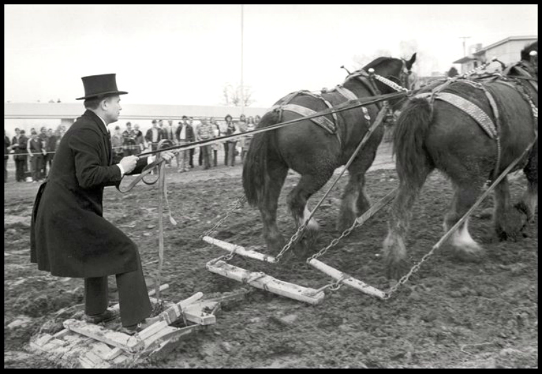 Presidente Oaks