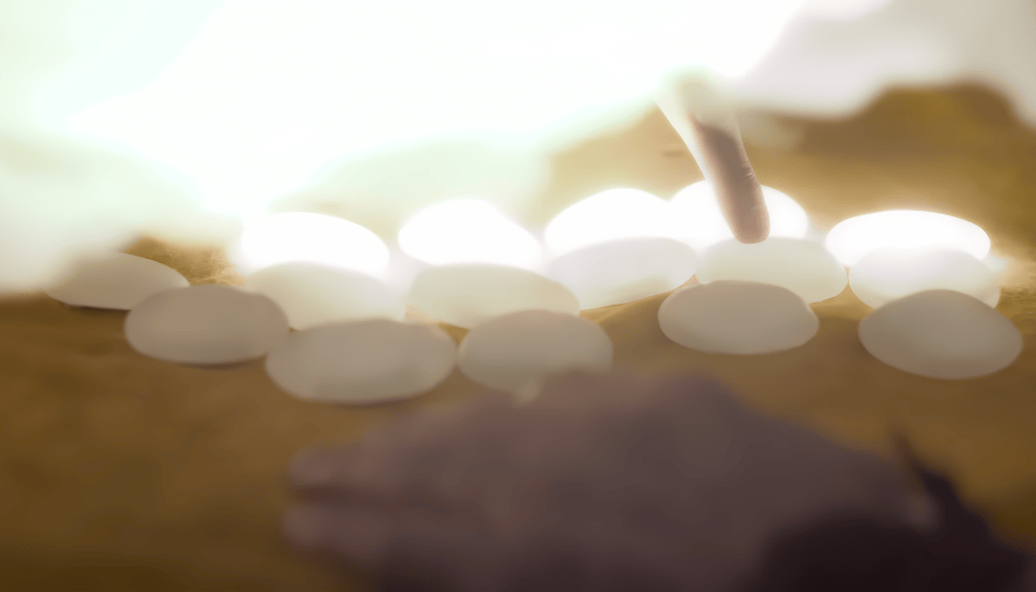 piedras