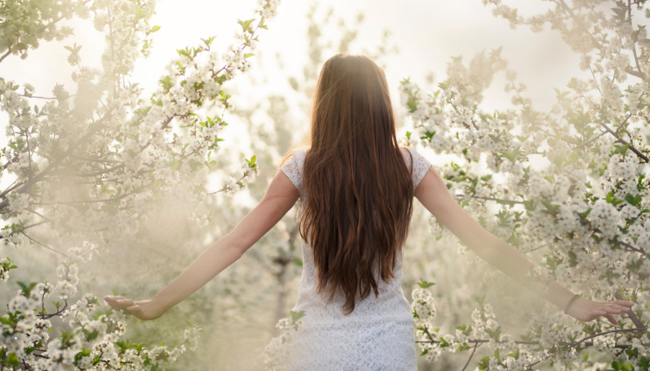 ¿Las plantas tienen alma? Lo que enseñan las Escrituras sobre la vida espiritual de la naturaleza