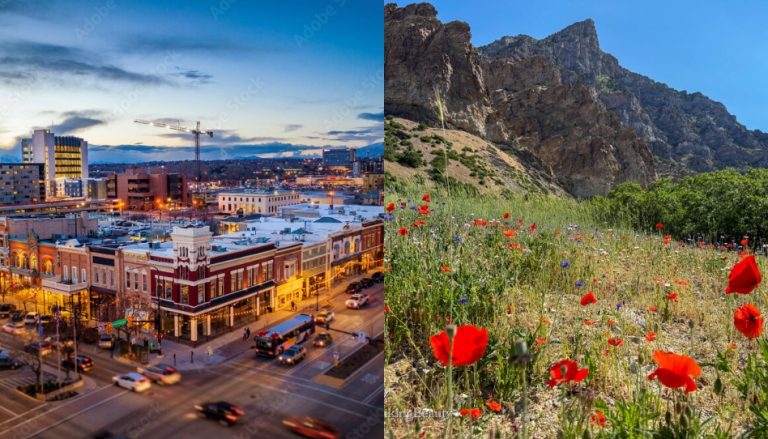 Alumnos de BYU rescatan un ecosistema clave para el futuro