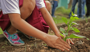 La conexión entre el cuidado de la Tierra y seguir a Cristo