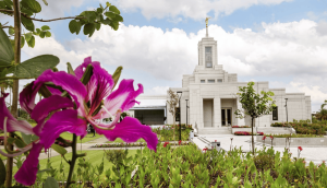 Auto derriba parte del muro de un templo en Sudamérica