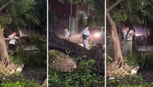 Cayó un árbol y, en plena tormenta, los misioneros corrieron a ayudar