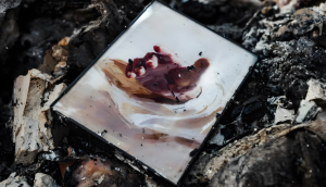 Entre las cenizas de la capilla de Michigan, una fotógrafa halló la mano de Dios